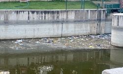 Eskişehir'de Porsuk Çayı çöplüğe döndü!