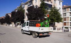 Eskişehir'deki o bölge ilaçlanıyor!