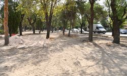 Eskişehir'deki o parklar yenileniyor