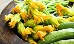 Ne portakal ne mandalina en çok C vitamini o sebzede var...