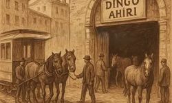 Dingo'nun Ahırı deyimi nereden geliyor?