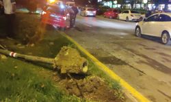 Eskişehir'de korkunç kaza! 1 ölü 2 yaralı
