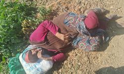 74 yaşındaki kadın bulundu