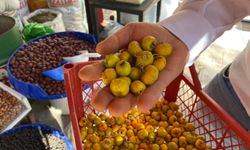 Hastalıklara karşı doğal reçete: Alıç, çaylar ve propolis