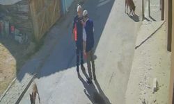 Eskişehir’de şok olay: Yaşlı adamı dövüp köpeklerine ‘Aferin’ dedi