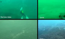 Marmara Denizi'nde müsilaj alarmı