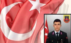 Yol kontrolü sırasında Uzman Çavuş şehit oldu