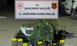 13 kilo 600 gram skunk ele geçirildi