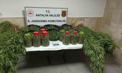 43 kilo zehir madde ele geçirildi