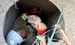 5 metrelik kuyuya düşen yavru köpek kurtarıldı