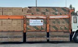5,5 milyon sahte bandrollü makaron ele geçirildi: 2 gözaltı