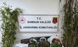 Jandarmadan zehir operasyonu: Esrar, kenevir ve silah ele geçirildi