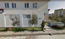 Kamuya ait zeytin ağaçları ve kaldırım yok oldu