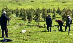 Mahalle halkı imece usulü gölet yaptı