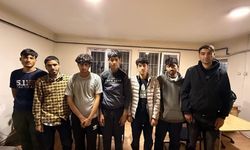 Ormanlık alanda 8 düzensiz göçmen yakalandı