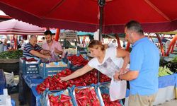 Salçalık domates ve biberler tezgahlarda