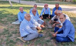 Şanlıurfa’da binlerce yıllık zeka oyunu