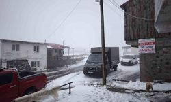 Vadilerini sel, yaylalarını kar vurdu