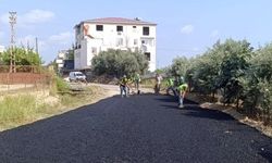 Yol ve sokak yenileme çalışmaları sürüyor