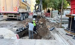 Porsuk Bulvarı'nda yenileme çalışması