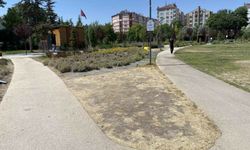 Eskişehir'de park ve yollardaki bakımsızlığa eleştiri!