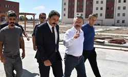 Çekerim kulağını....