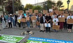 Eskişehir'de çevre tepkisi: Doğamızdan elinizi çekin!
