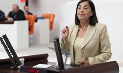 CHP'li Süllü: "Beylikova'daki nadir toprak rezervini ABD'ye mi pazarlıyoruz?"