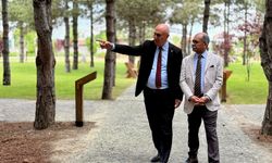 Ne güzel geziyorduk