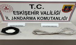Seyitgazi’de tarihi alanda kaçak kazı operasyonu: