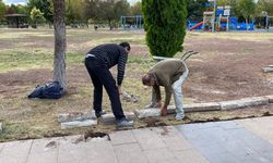 Eskişehir'deki o parkta bakım-onarım çalışması başladı