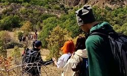Beypazarı'ndaki bu vadi büyük ilgi görüyor