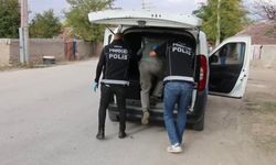 Eskişehir'deki o ilçede uyuşturucu operasyonu!