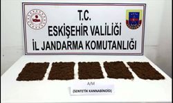 Eskişehir’de jandarmadan zehir operasyonu: 1 kişi tutuklandı