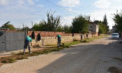 İnönü Belediyesi’nden sonbahar temizliği