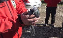 Havalandırma boşluğuna düşen güvercin kurtarıldı