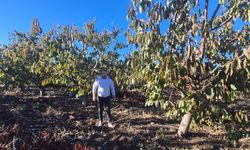 Çiftçilerden anlamlı teşekkür...