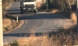 Eskişehir'de o yolda ağaç dalları sürücülere zorluk çıkarıyor