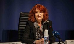 Louvre soygununda son gelişmeler