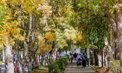 Meteorolojiden kuvvetli rüzgar ve kar uyarısı