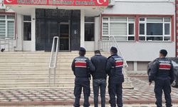 Zehir operasyonu: 1 tutuklama