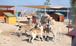 Eskişehir'de o yaşam alanı hızla tamamlanıyor...