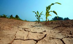 Tepebaşı'nda kuraklık alarmı!