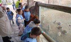 Minikler Eskişehir Hayvanat Bahçesi'ni ziyaret etti