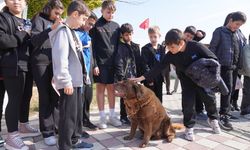 Doğal Yaşam Merkezi'nde buluştular