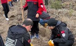 TAK Ekibi fidan dikti