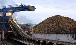 Eskişehir'in bitmeyen çilesi: Vatandaş artık çözüm bekliyor!