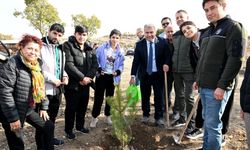 Yunus'un fidanları toprakla buluştu!