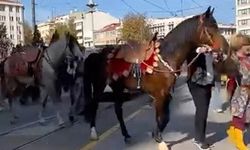 Eskişehir’de merak uyandıran görüntü!