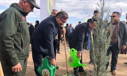 Eskişehir'de bir günde 20 bin fidan dikildi